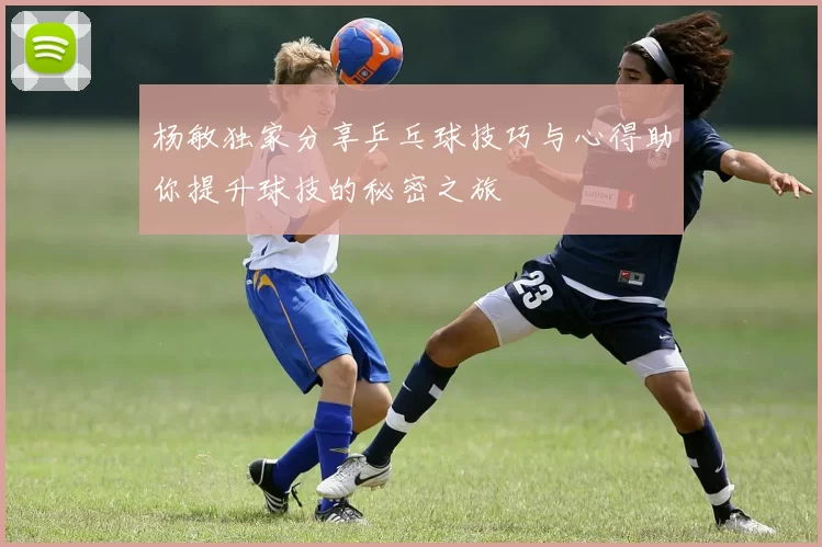 杨敏独家分享乒乓球技巧与心得助你提升球技的秘密之旅