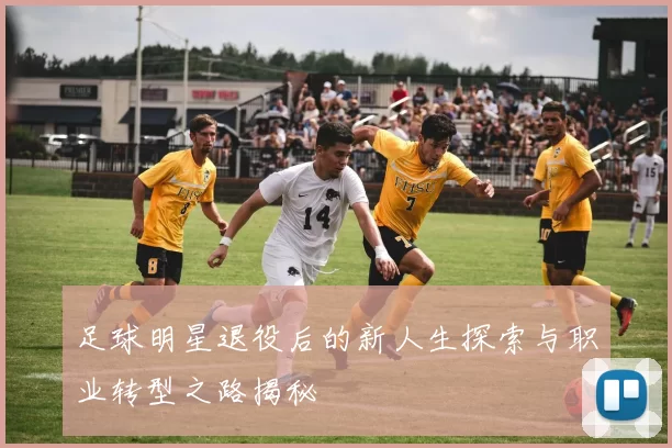 足球明星退役后的新人生探索与职业转型之路揭秘