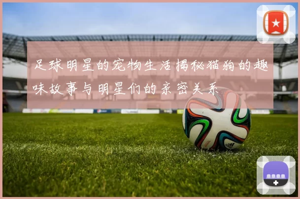 足球明星的宠物生活揭秘猫狗的趣味故事与明星们的亲密关系