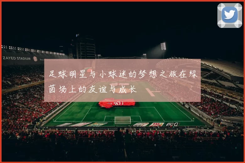 足球明星与小球迷的梦想之旅在绿茵场上的友谊与成长