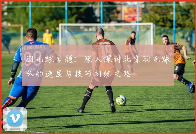 羽毛球专题：深入探讨北京羽毛球队的速度与技巧训练之路