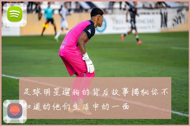 足球明星遛狗的背后故事揭秘你不知道的他们生活中的一面