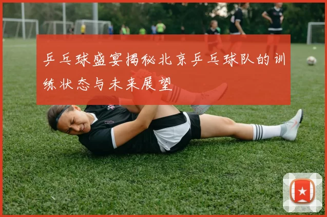 乒乓球盛宴揭秘北京乒乓球队的训练状态与未来展望