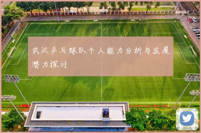 武汉乒乓球队个人能力分析与发展潜力探讨