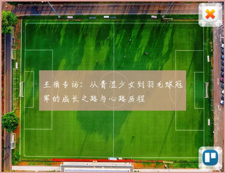 王丽专访：从青涩少女到羽毛球冠军的成长之路与心路历程
