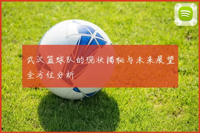 武汉篮球队的现状揭秘与未来展望全方位分析