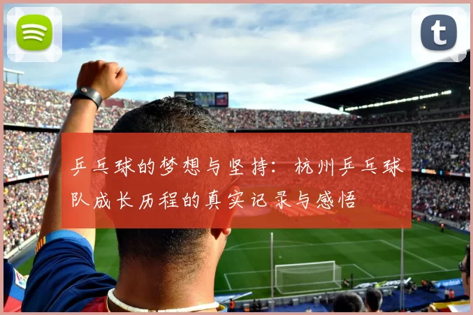 乒乓球的梦想与坚持：杭州乒乓球队成长历程的真实记录与感悟