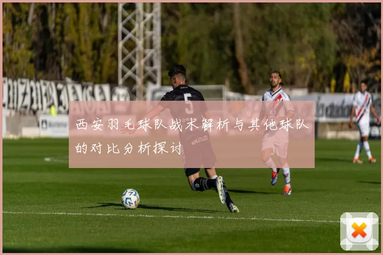 西安羽毛球队战术解析与其他球队的对比分析探讨