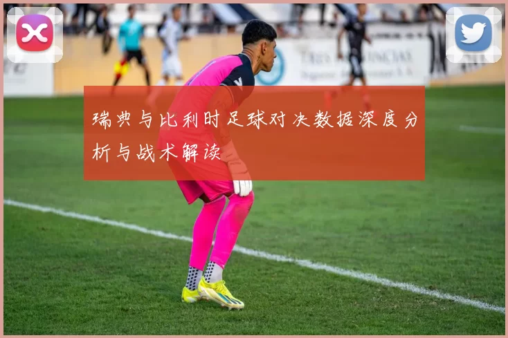 瑞典与比利时足球对决数据深度分析与战术解读