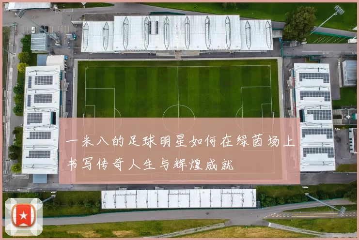 一米八的足球明星如何在绿茵场上书写传奇人生与辉煌成就
