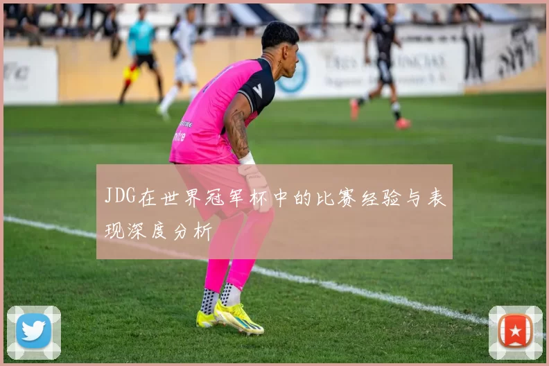 JDG在世界冠军杯中的比赛经验与表现深度分析