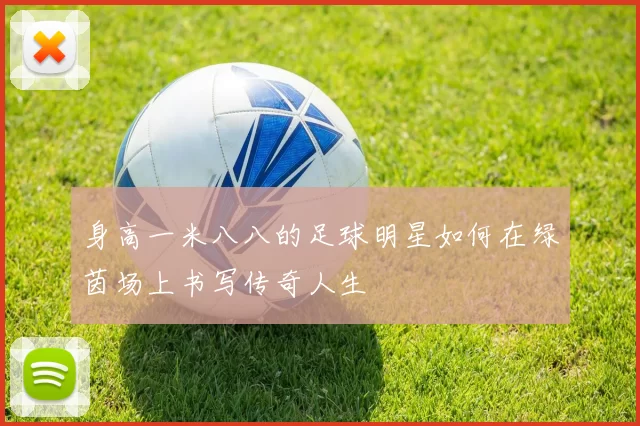 身高一米八八的足球明星如何在绿茵场上书写传奇人生