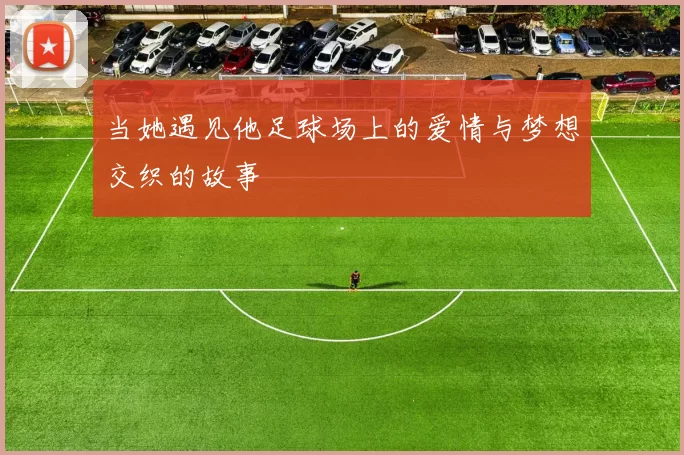 当她遇见他足球场上的爱情与梦想交织的故事