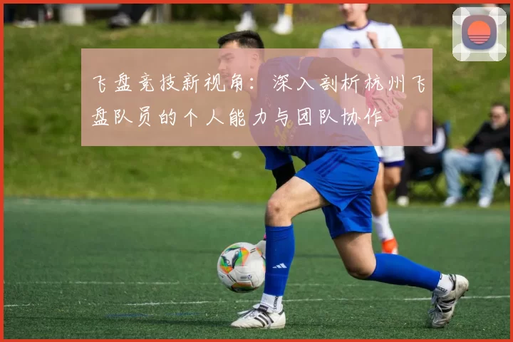 飞盘竞技新视角：深入剖析杭州飞盘队员的个人能力与团队协作