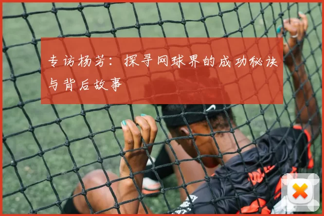 专访杨芳：探寻网球界的成功秘诀与背后故事
