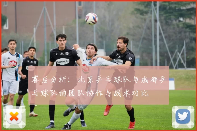 赛后分析：北京乒乓球队与成都乒乓球队的团队协作与战术对比