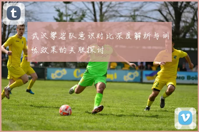 武汉攀岩队意识对比深度解析与训练效果的关联探讨