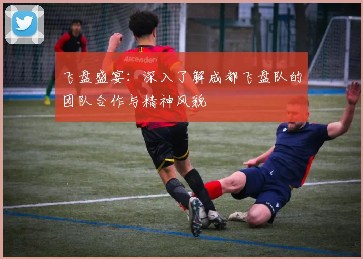 飞盘盛宴：深入了解成都飞盘队的团队合作与精神风貌